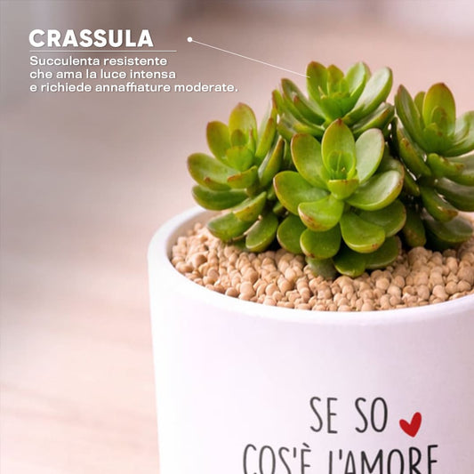 Vaso DAMA - Cos'è l'amore