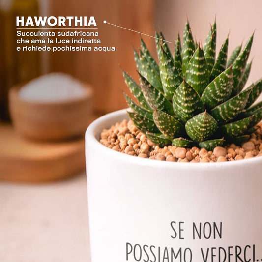 Vaso KUBO - Almeno pensami