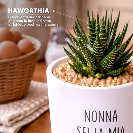 Vaso KUBO - Nonna regina