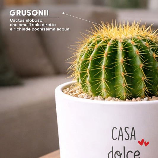 Vaso LUNA - Casa Dolce Casa
