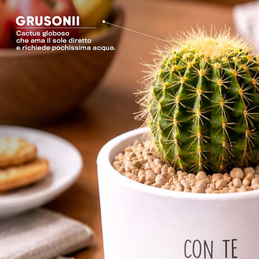 Vaso LUNA - Momento speciale