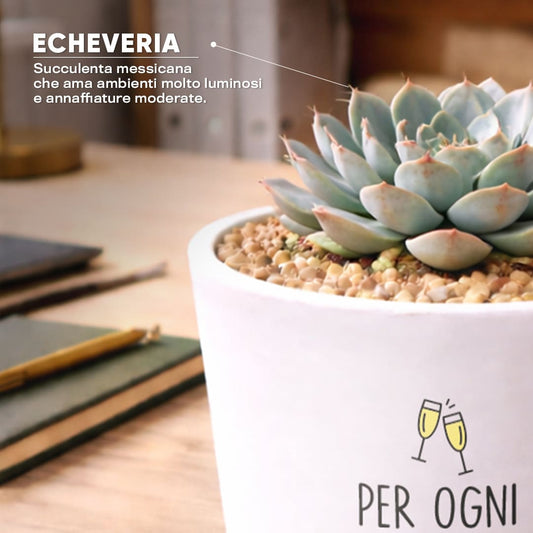 Vaso NINFA - Ogni Nuovo Inizio