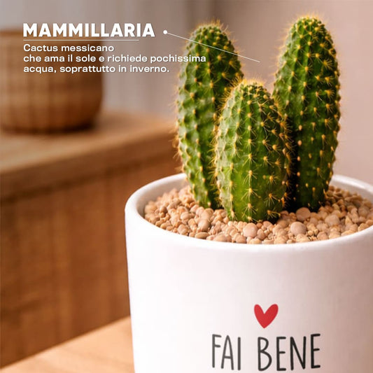Vaso RIO - Fai bene al cuore