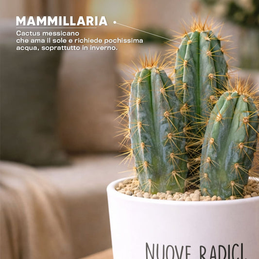 Vaso RIO - Nuove Radici