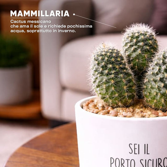 Vaso RIO - Porto sicuro