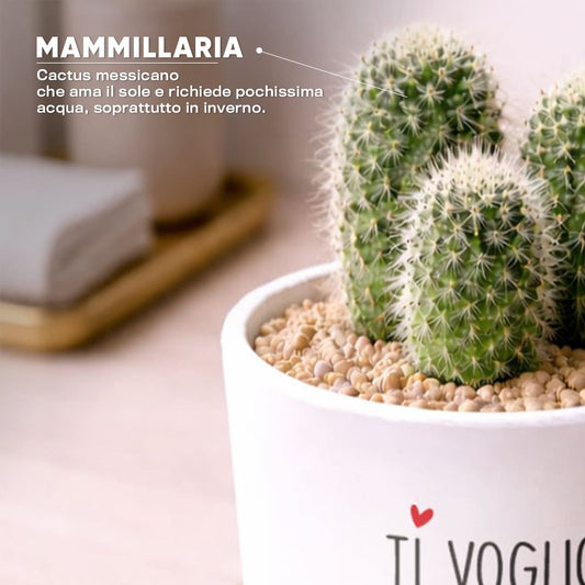 Vaso RIO - Ti voglio bene mamma