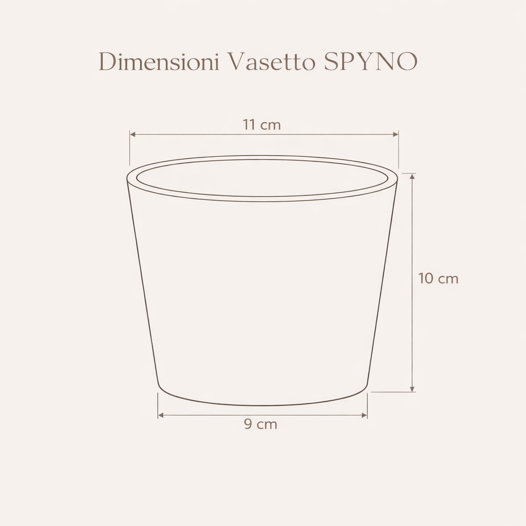 Vaso DAMA - Home