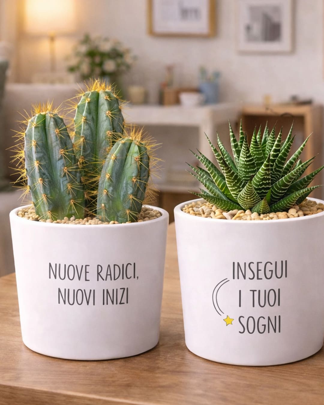 Occasioni speciali