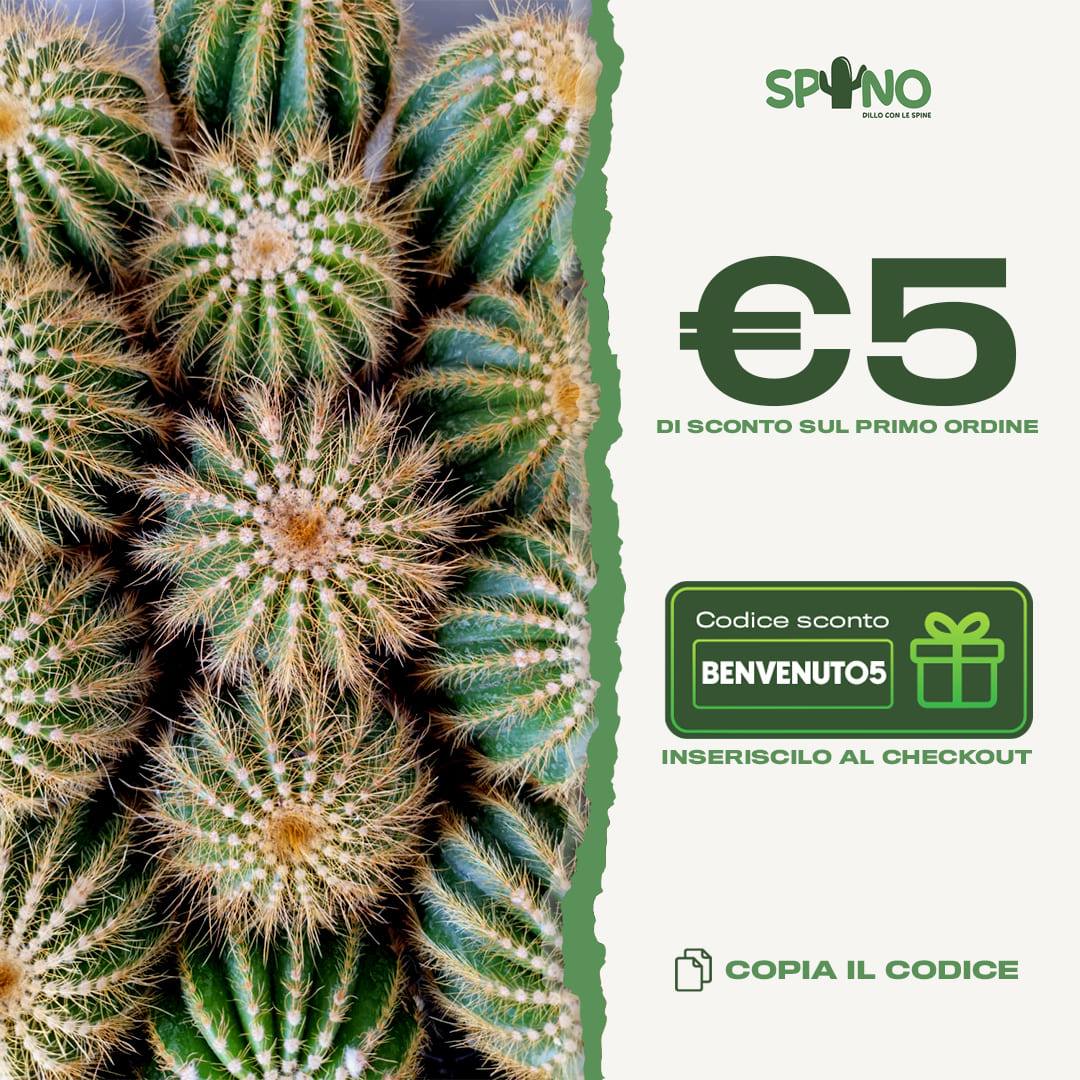 SPYNO - 5 euro di sconto sul primo ordine con codice BENVENUTO5