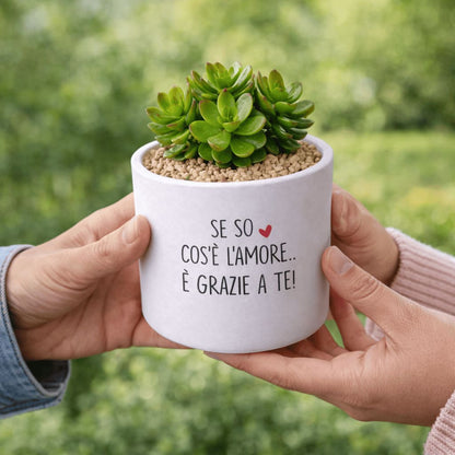 Vaso DAMA - Cos'è l'amore