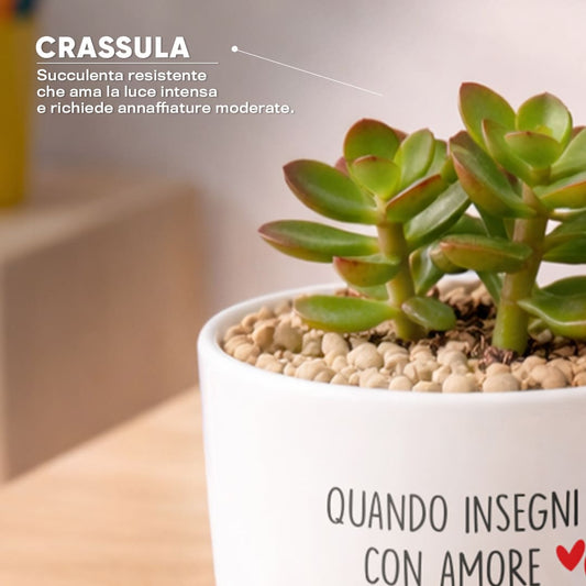 Vaso DAMA - Insegnare con Amore