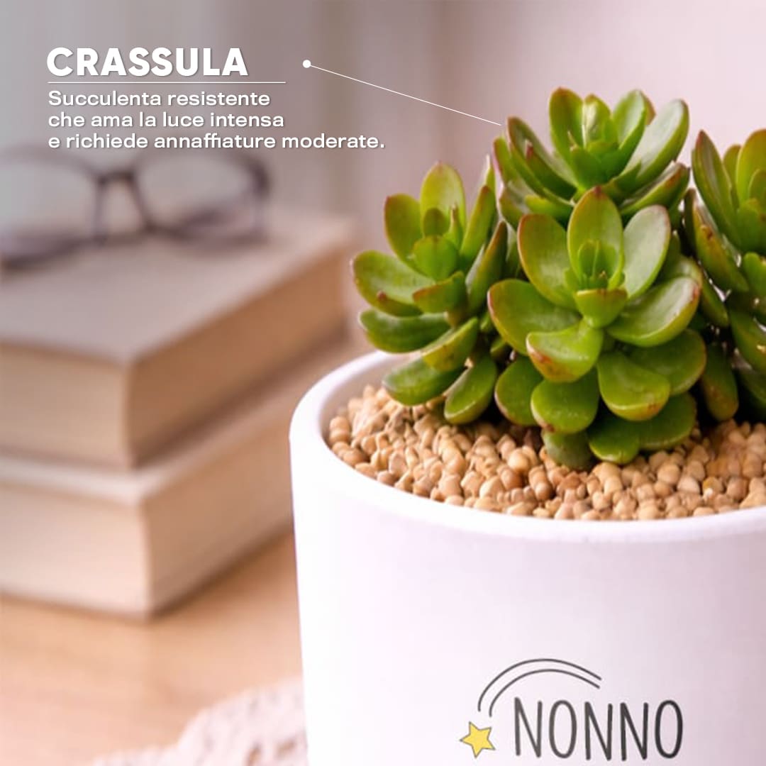 Vaso DAMA - Nonno supereroe