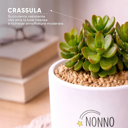 Vaso DAMA - Nonno supereroe