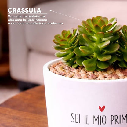 Vaso DAMA - Primo grande amore