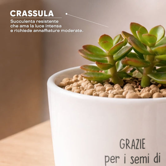 Vaso DAMA - Sapere e Amore