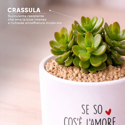 Vaso DAMA - Cos'è l'amore