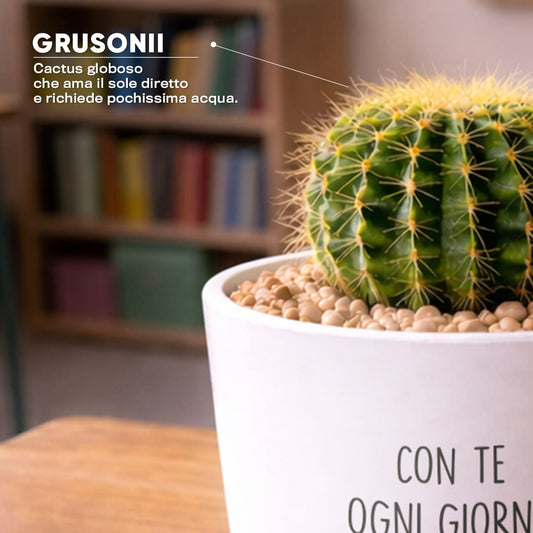 Vaso LUNA - Crescita