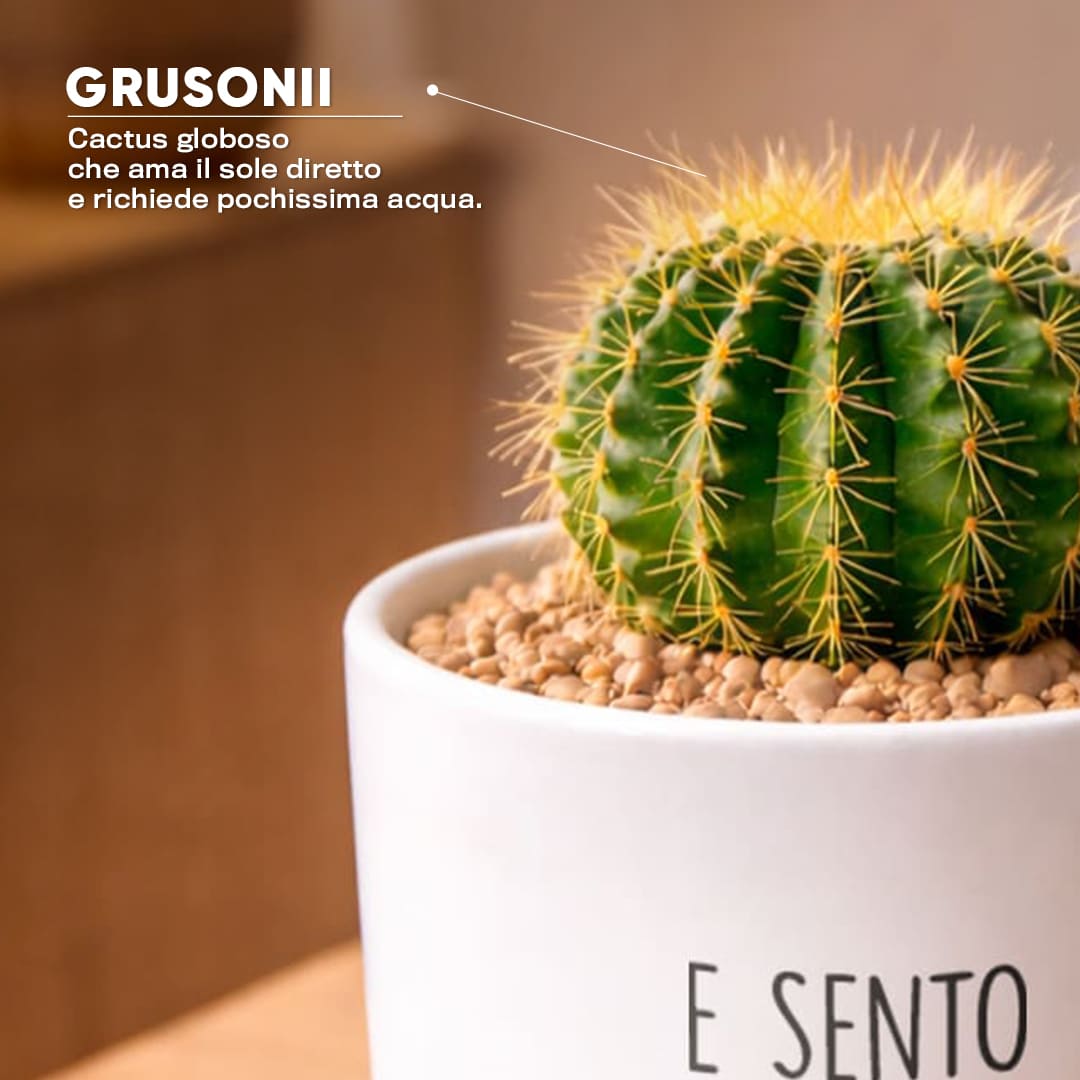 Vaso LUNA - Cuore a mille