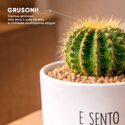 Vaso LUNA - Cuore a mille