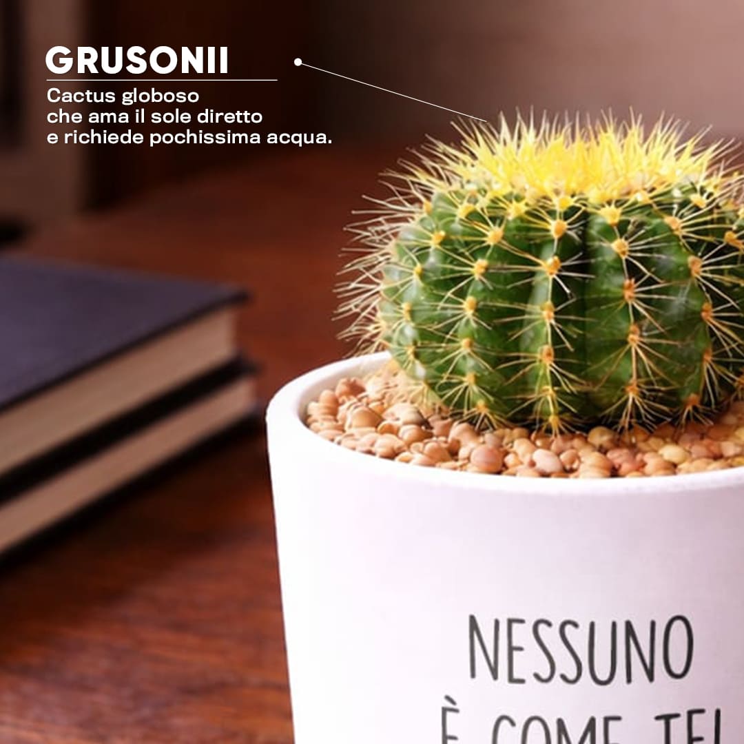 Vaso LUNA - Nessuno come te