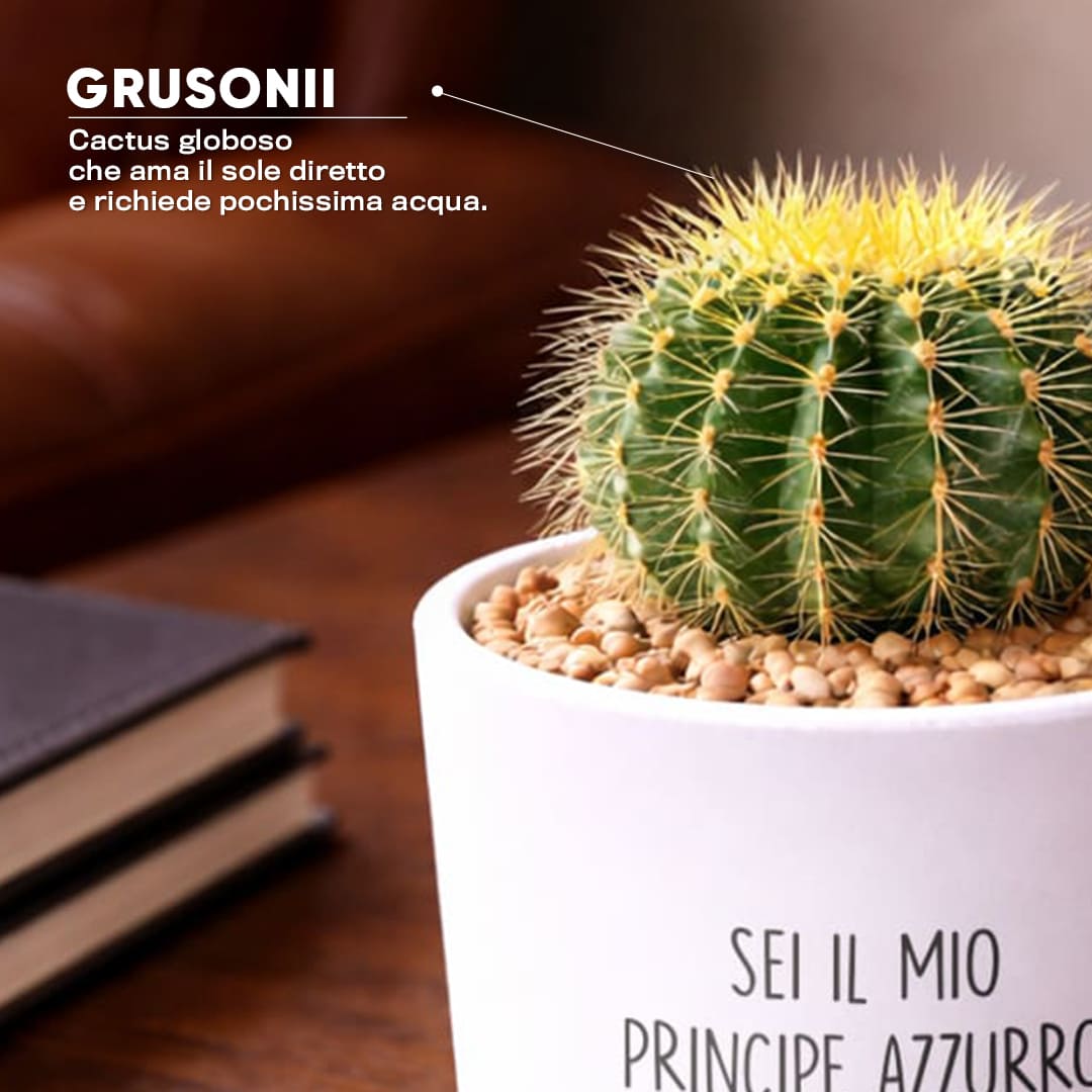 Vaso LUNA - Principe azzurro
