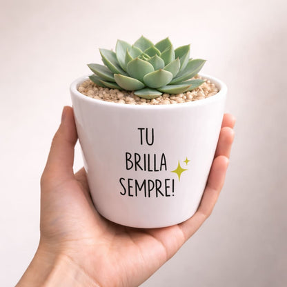 Vaso NINFA - Brilla sempre