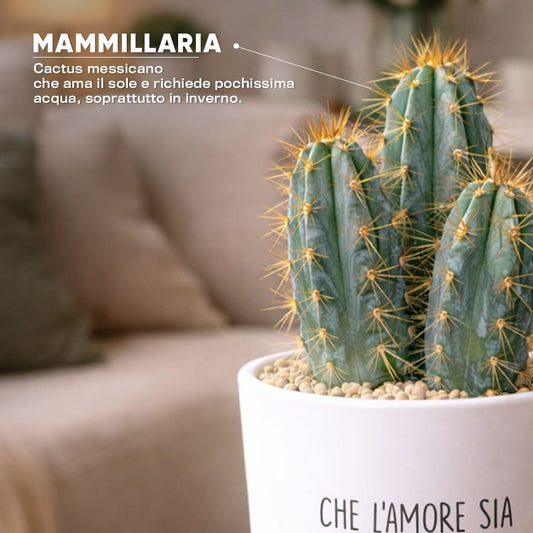 Vaso RIO - Amore di Casa
