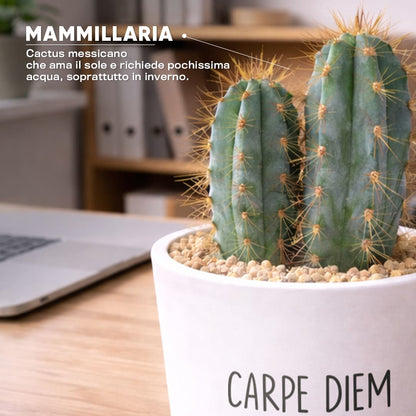 Vaso RIO - Carpe Diem