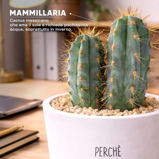 Vaso RIO - Cose Belle