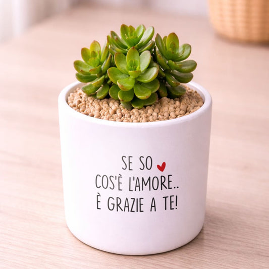 Vaso DAMA - Cos'è l'amore