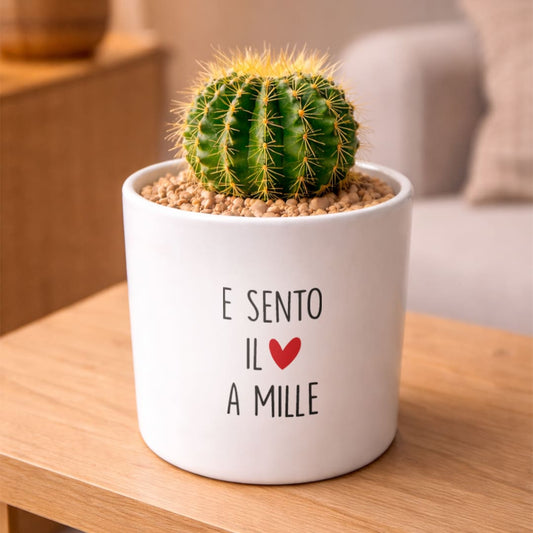 Vaso LUNA - Cuore a mille