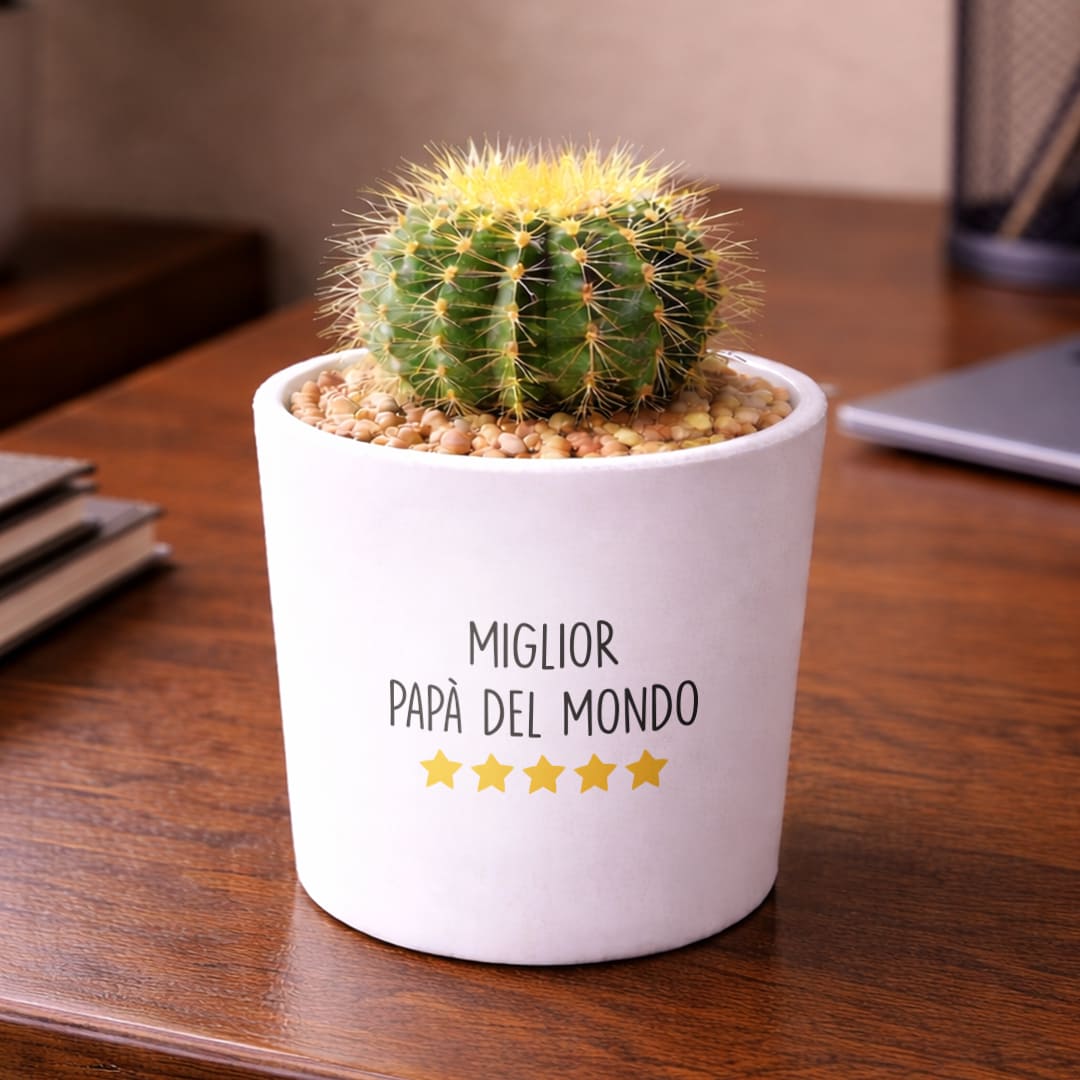 Vaso LUNA con Cactus – Regalo per il Papà | SPYNO