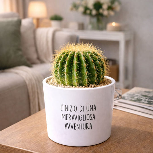 Vaso LUNA - Meravigliosa Avventura