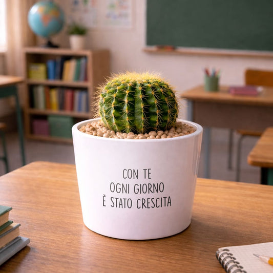 Vaso LUNA - Crescita