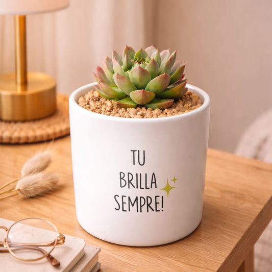 Vaso NINFA - Brilla sempre