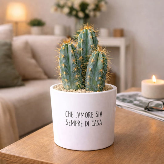 Vaso RIO - Amore di Casa