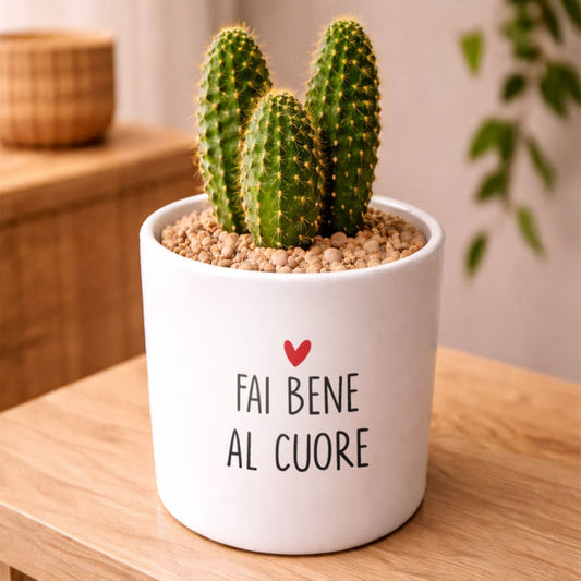 Vaso RIO - Fai bene al cuore