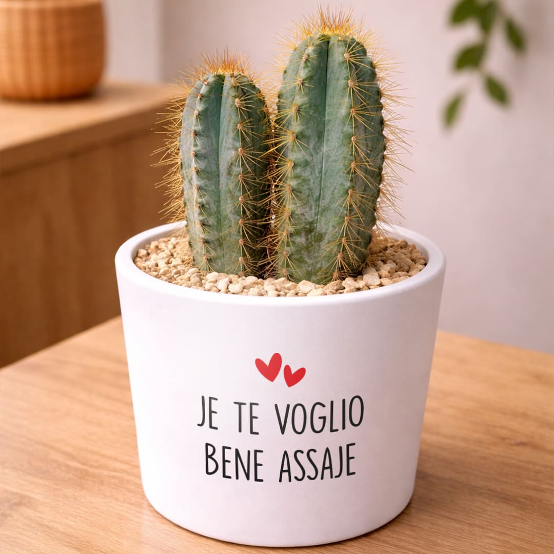 Vaso RIO - Te Voglio Bene Assaje