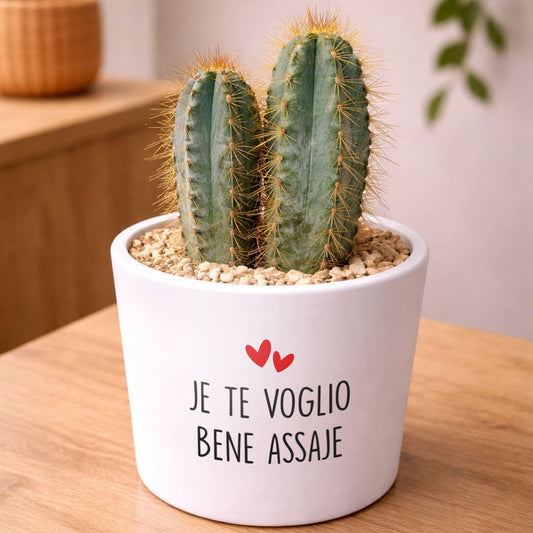 Vaso RIO - Te Voglio Bene Assaje