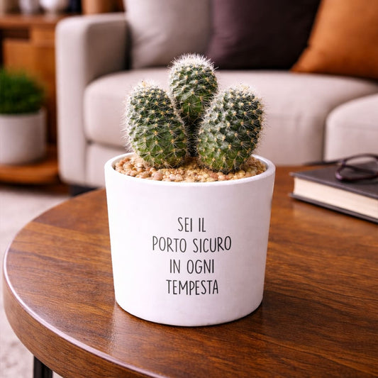 Vaso RIO - Porto sicuro