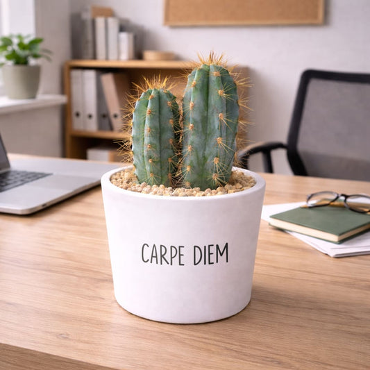 Vaso RIO - Carpe Diem