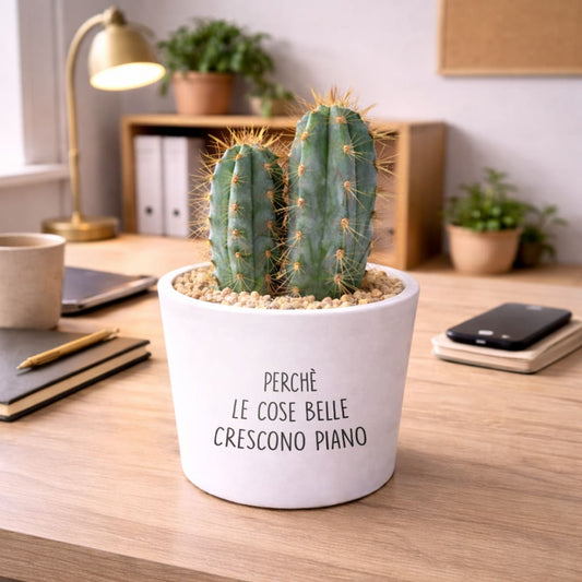 Vaso RIO - Cose Belle