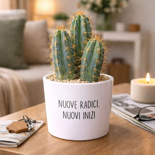 Vaso RIO - Nuove Radici