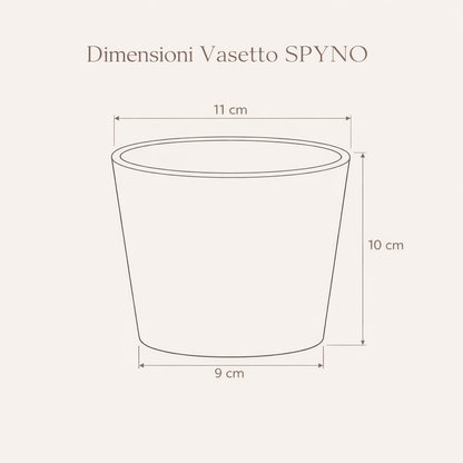 Vaso DAMA - Home